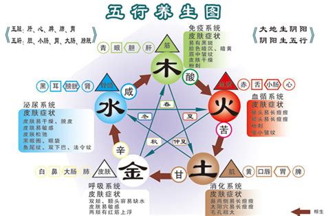 五行行业|五行对应行业